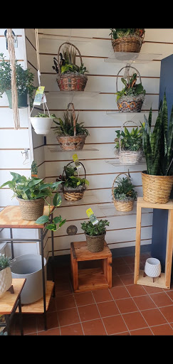 Florist «Westcott Florist», reviews and photos, 548 Westcott St, Syracuse, NY 13210, USA