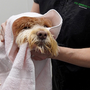 Pet Supply Store «Pet Supplies Plus», reviews and photos, 887 N Lexington-Springmill Rd, Mansfield, OH 44906, USA