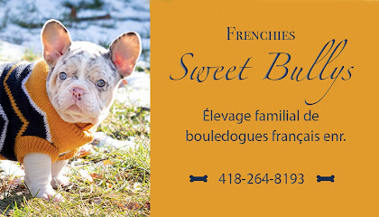 Frenchies Sweet Bullys