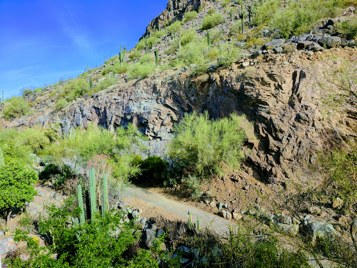 Golf Club «Phoenician Golf Club», reviews and photos, 6000 E Camelback Rd, Scottsdale, AZ 85251, USA