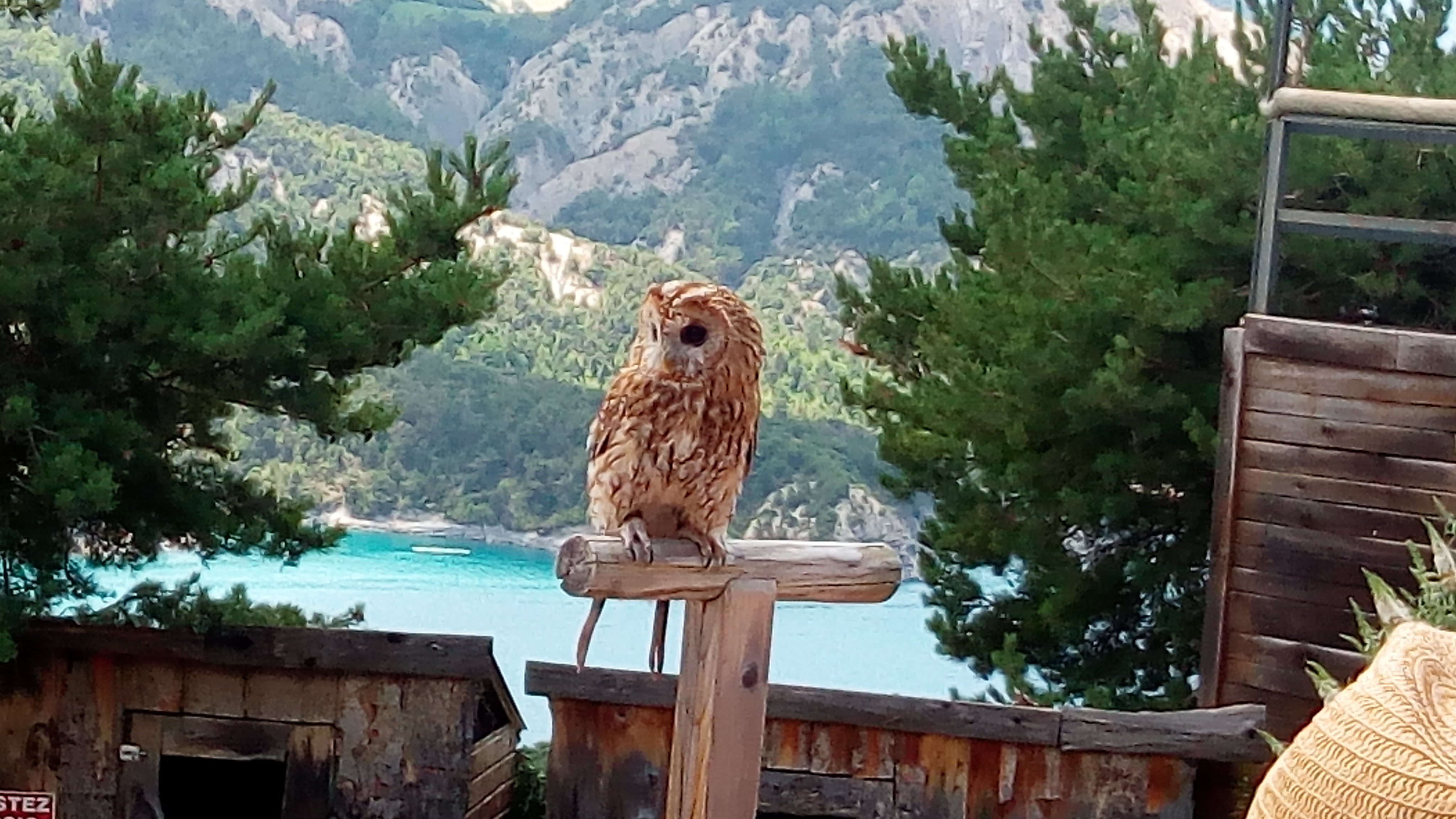 Photo n° 3 de l'avis de benoit.l fait le 27/07/2019 à 14:05