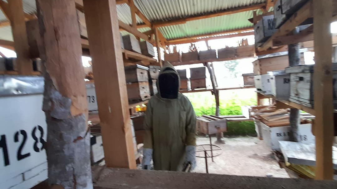 Yuaja Beekeeping Services and Products