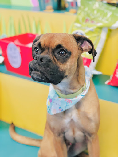 Veterinarian «Pet Vet Supply», reviews and photos, 1215 E Lockheed Dr, Oklahoma City, OK 73110, USA