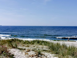 Giruliai naturist beach'in fotoğrafı doğal alan içinde bulunmaktadır
