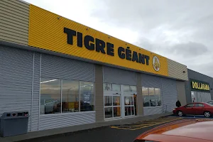 Tigre Géant image