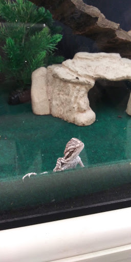 Pet Supply Store «PetSmart», reviews and photos, 250 Grossman Dr, Braintree, MA 02184, USA