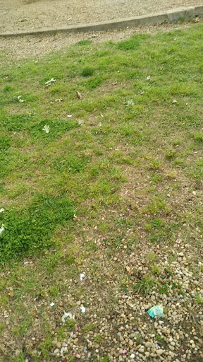 Park «Getzendaner Park», reviews and photos, 400 S Grand Ave, Waxahachie, TX 75165, USA