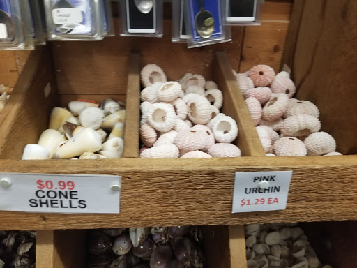 Gift Shop «Sea Treasures», reviews and photos, 2902 Surfside Blvd, Corpus Christi, TX 78402, USA