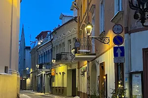 Vilniaus ekskursijos image