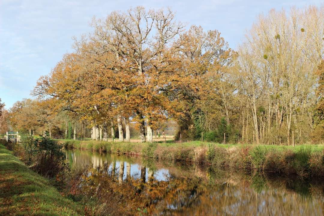 Photo n° 7 de l'avis de Mathias.e fait le 09/09/2023 à 17:27