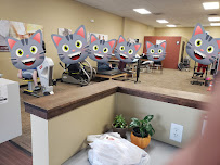 BenchMark Physical Therapy - Photo 4 - Car repair in Eugene, OR, Eugene