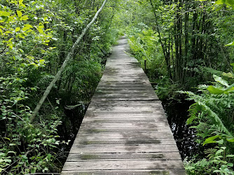 Tannersville Cranberry Bog Preserve