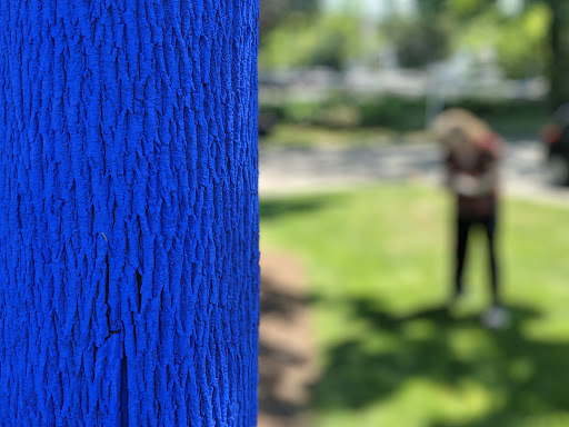 Museum «Cahoon Museum of American Art», reviews and photos, 4676 Falmouth Rd, Cotuit, MA 02635, USA