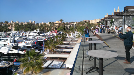 Arallo Mallorca