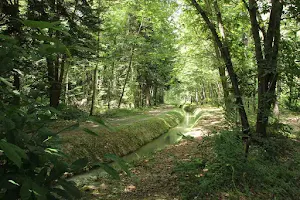 Arboretum de Cardeilhac image