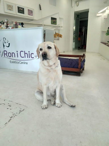 Ron I Chic Estètica Canina