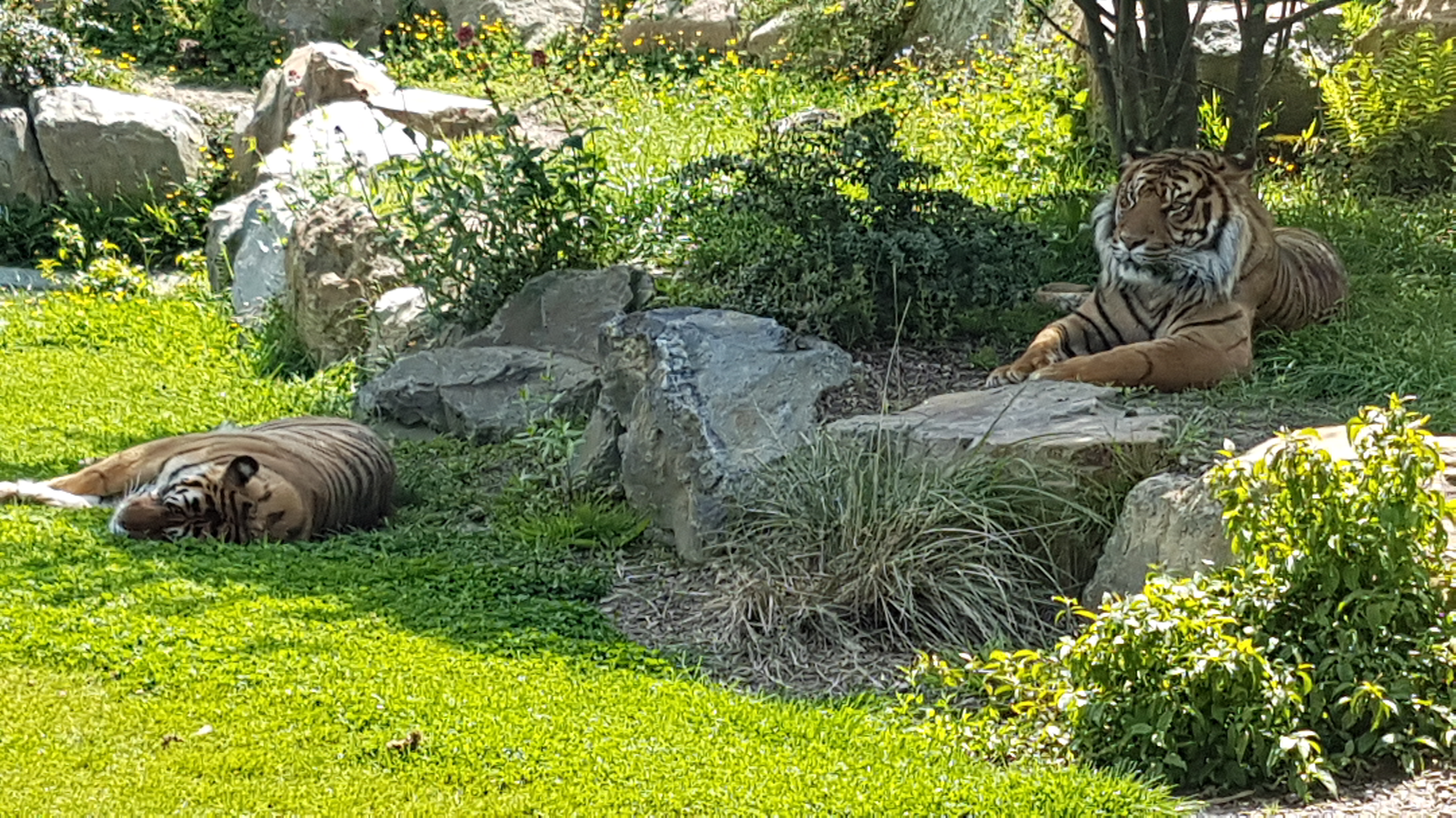 Photo n° 44 de l'avis de Dominique.A fait le 21/05/2019 à 20:35