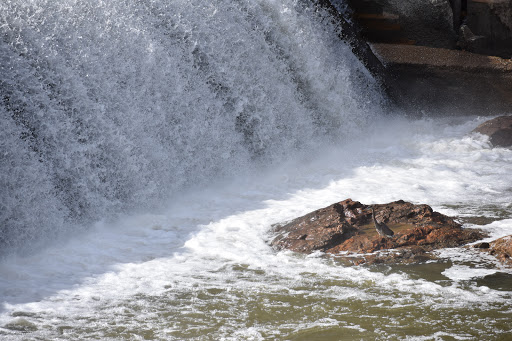 State Park «Patapsco Valley State Park», reviews and photos, 8020 Baltimore National Pike, Ellicott City, MD 21043, USA