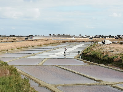 Coopérative Agricole à Noirmoutier-en-l'Île