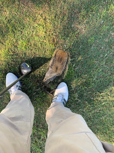 Golf Course «Henry Homberg Municipal Golf Course», reviews and photos, 5940 Babe Zaharias Dr, Beaumont, TX 77705, USA