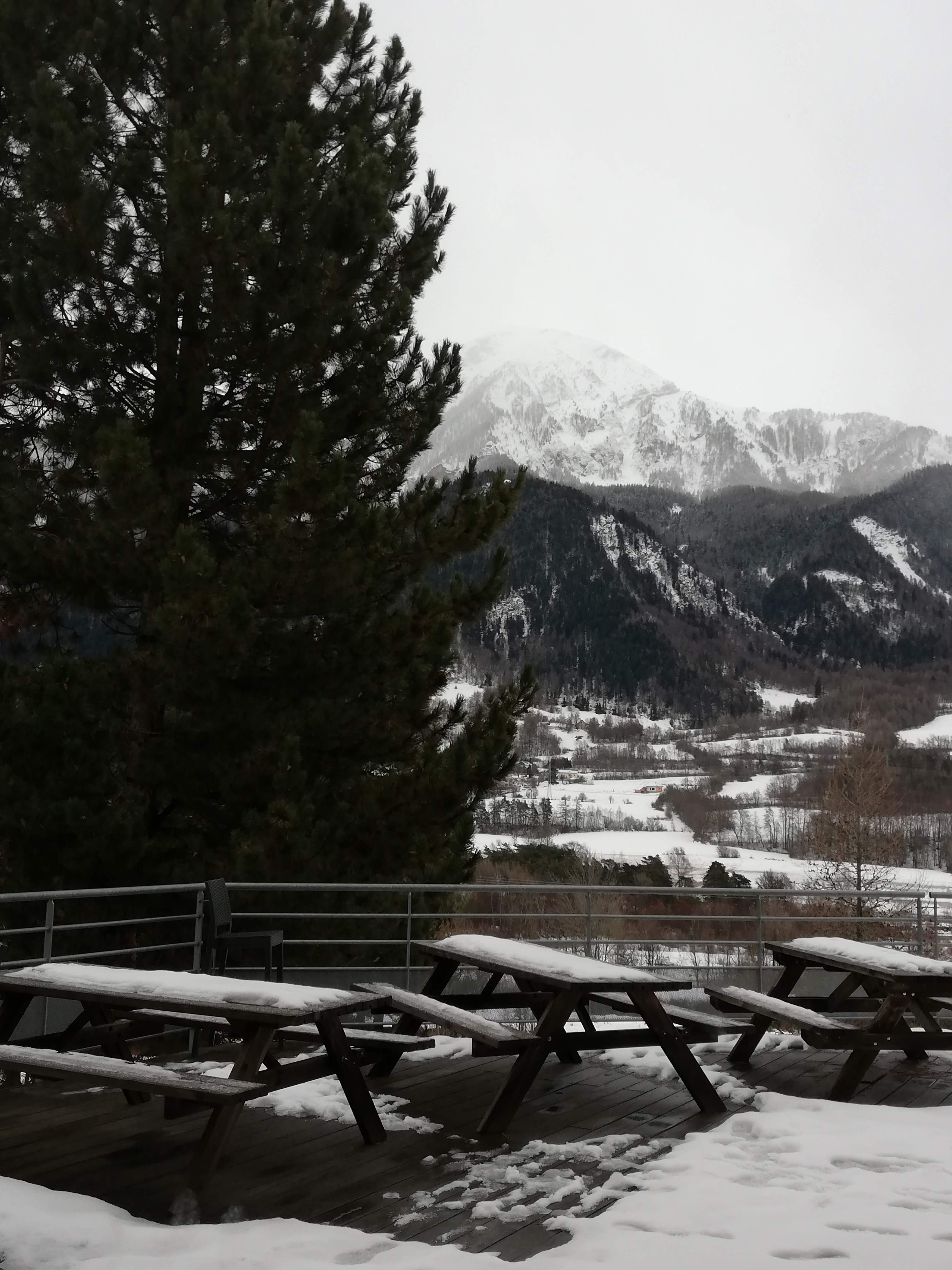 Photo n° 4 de l'avis de lil'.e fait le 03/02/2019 à 14:28