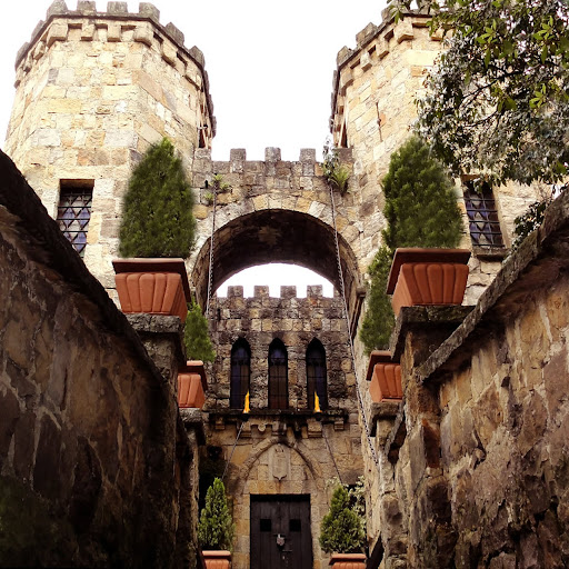 Castillo Del Mono Osorio
