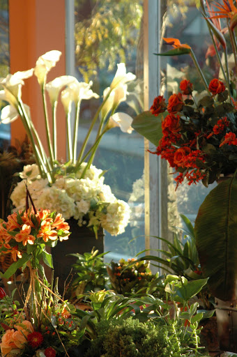 Florist «Tiger Lily Flowers», reviews and photos, 569 Cedar Ln, Teaneck, NJ 07666, USA