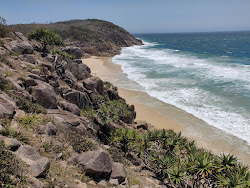 Little Bay'in fotoğrafı ve yerleşim