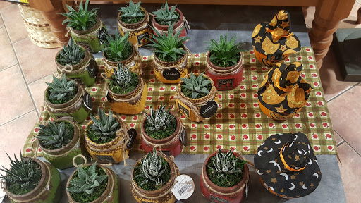 Supermarket «Big Y», reviews and photos, 135 West Rd, Ellington, CT 06029, USA