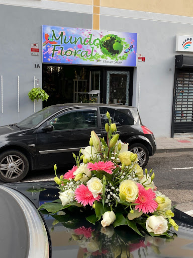 Flower Shop Mundo Floral en Santa Úrsula, Santa Cruz de Tenerife