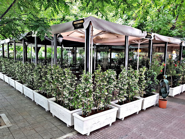 Αξιολογήσεις για το Kolonato cafe bar στην Αθήνα - Καφετέρια