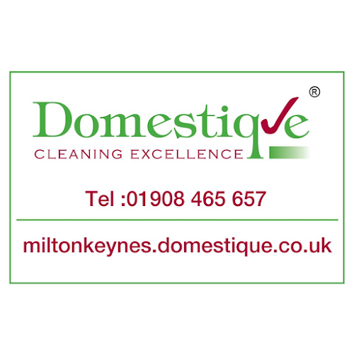 Reviews of Domestique Milton Keynes in Milton Keynes - House cleaning service