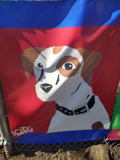 Dog Park «Waterman St. Dog Park», reviews and photos, 320 Waterman St, Providence, RI 02906, USA