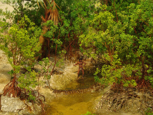 Natural History Museum «Florida Museum of Natural History», reviews and photos, 3215 Hull Rd, Gainesville, FL 32611, USA