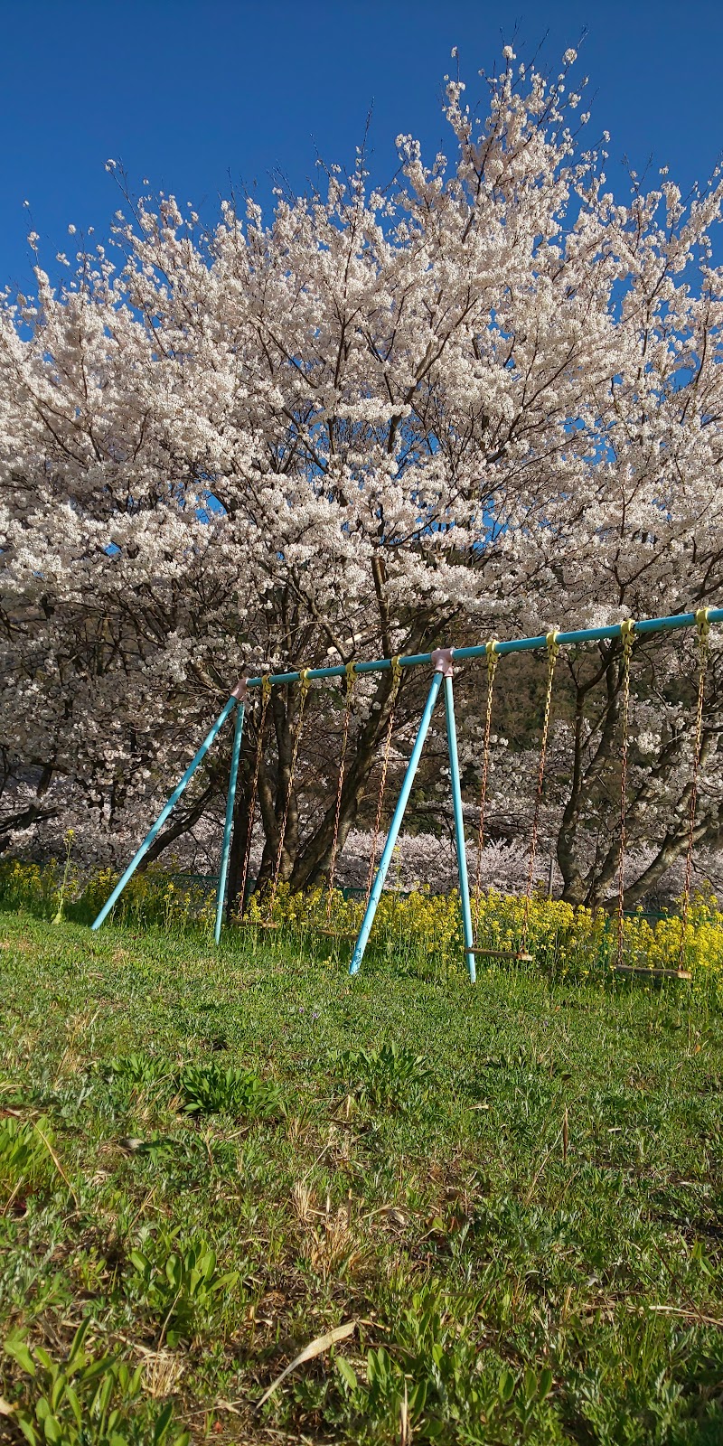 東公園