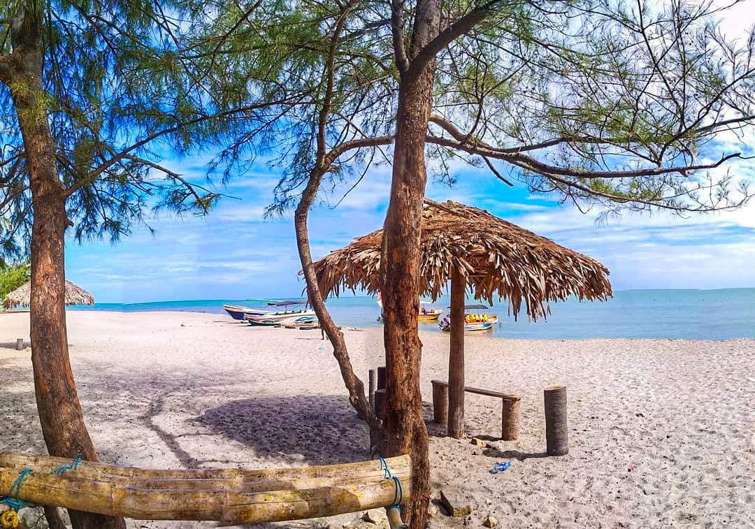 Photo of Casuarina Beach with long straight shore