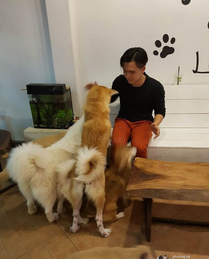 Top 7 cửa hàng bán chó Huyện Thanh Liêm Hà Nam 2022
