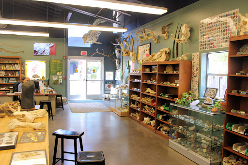 Zoo «Houston Zoo», reviews and photos, 6200 Hermann Park Dr, Houston, TX 77030, USA