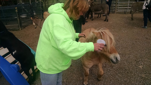 Restaurant «Hidden Valley Animal Adventure», reviews and photos, 2887 Royce Rd, Varysburg, NY 14167, USA