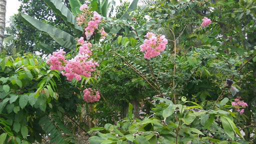 Vườn Thiên Lý