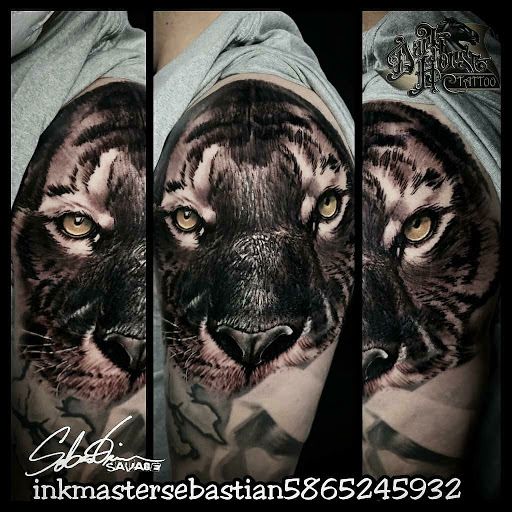 Explore 3 sisters tattoo ideas, creative tattoo ideas in Warren, available at Dark Horse Tattoo Co. LLC.