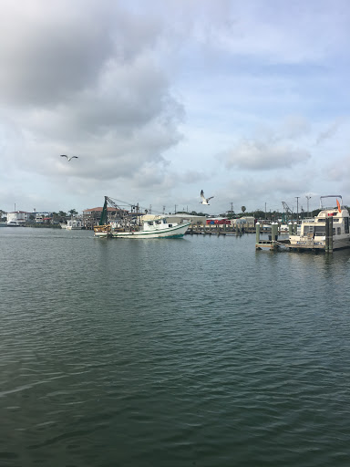 Seafood Market «Fulton Harbor Bait & Seafood», reviews and photos, 250 Deforest Loop, Fulton, TX 78358, USA