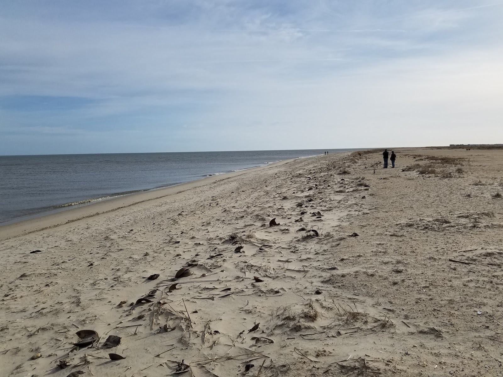 Fowler Beach'in fotoğrafı mavi sular yüzey ile