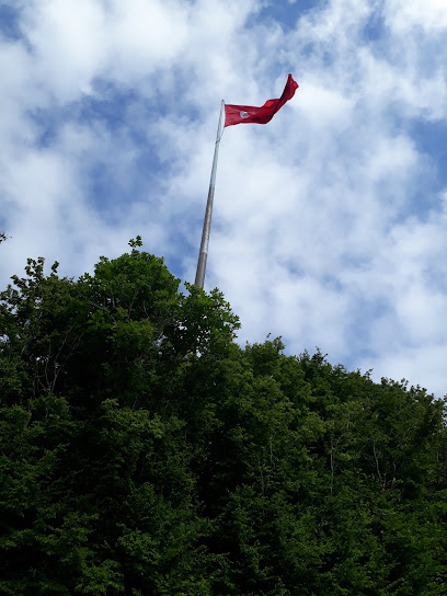 Bayrak Tepe Tabiat Parkı