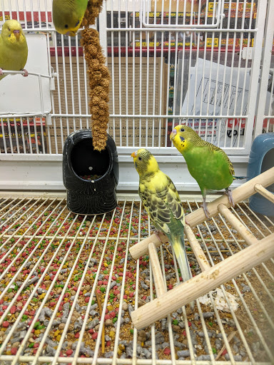 Pet Supply Store «Petco Animal Supplies», reviews and photos, 9230 Old Keene Mill Rd b, Burke, VA 22015, USA