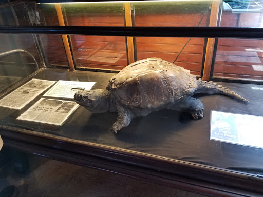 Aquarium «Cold Spring Harbor Fish Hatchery & Aquarium», reviews and photos, 1660 NY-25A, Cold Spring Harbor, NY 11724, USA