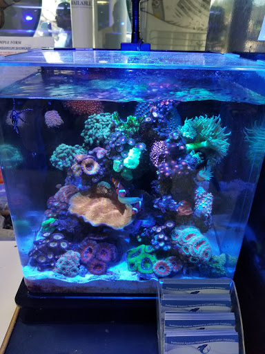 Pet Store «Creative Aquariums of Tampa», reviews and photos, 150 S Dale Mabry Hwy, Tampa, FL 33609, USA