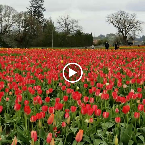 Shopping Mall «Woodburn Premium Outlets», reviews and photos, 1001 N Arney Rd, Woodburn, OR 97071, USA
