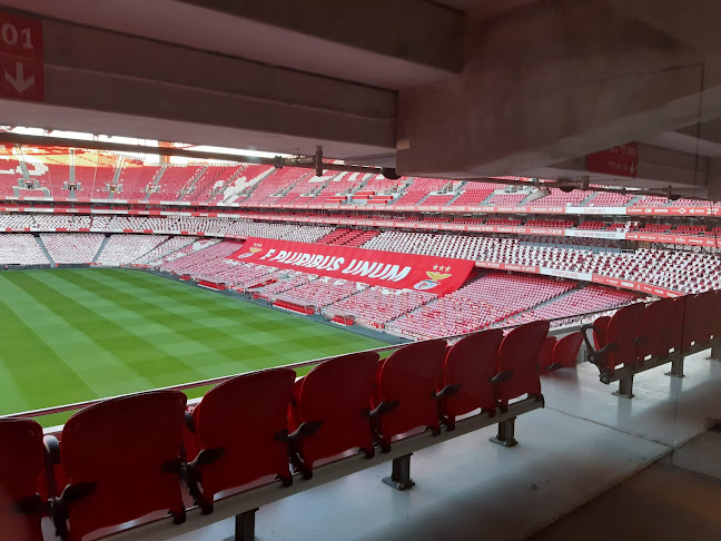 Avaliações doAcademia Life Club - Estádio da Luz em Lisboa - Academia