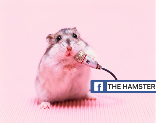 The Hamster Shop